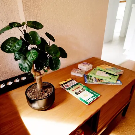 Birds-nest Balkon Kaminofen アパート *