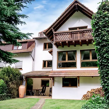 Birds-nest Balkon Kaminofen * Darstein