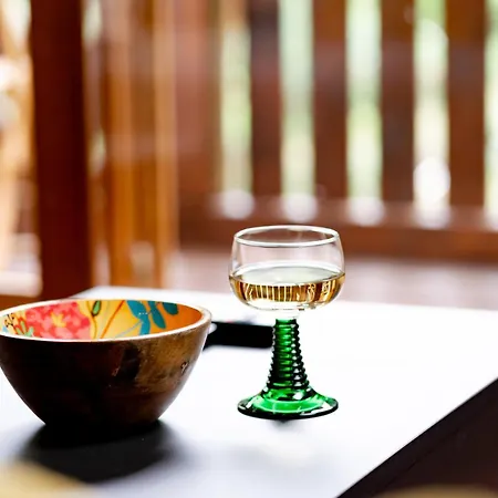 Birds-nest Balkon Kaminofen *