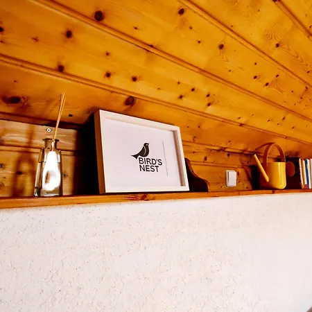 Birds-nest Balkon Kaminofen Darstein