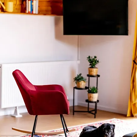 Birds-nest Balkon Kaminofen *