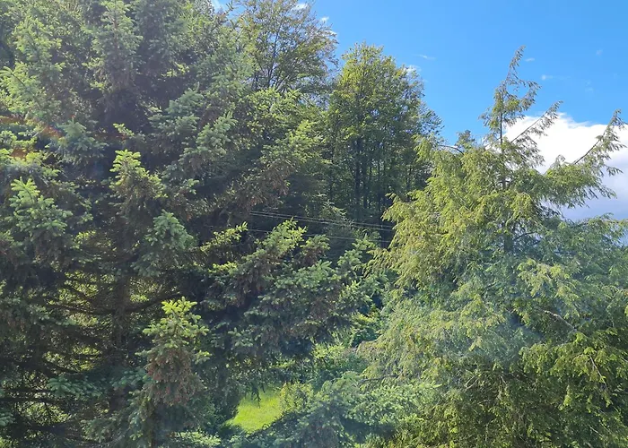 Birds-nest Balkon Kaminofen