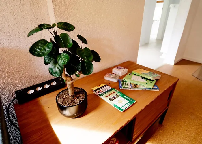 Birds-nest Balkon Kaminofen Apartament *