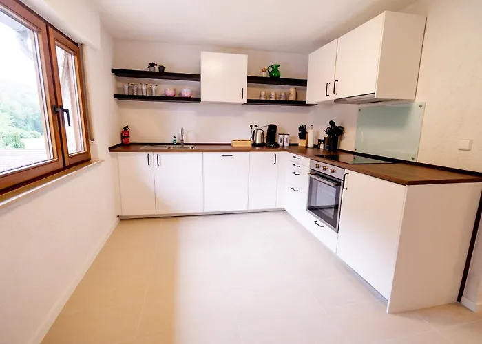 Birds-nest Balkon Kaminofen Darstein